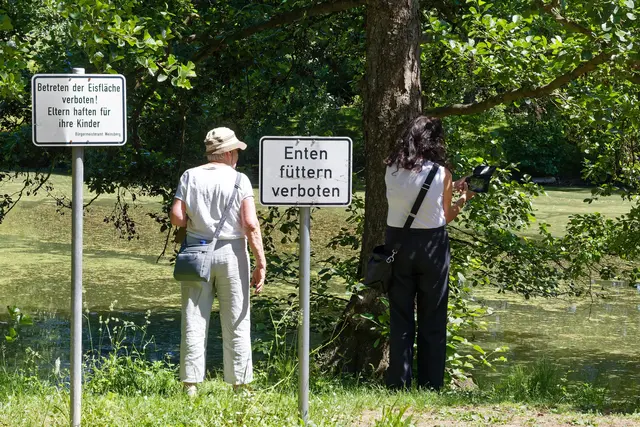 Sie werden doch wohl nicht ... | Foto: WKY