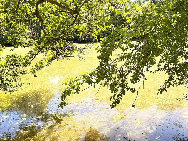 Foto: Heide Böllinger aus Bad Friedrichshall