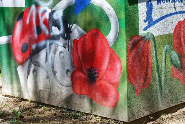 Foto: WKY