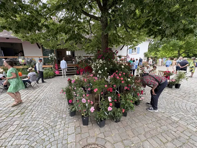 Foto: Alle Fotos sind Eigentum von Gerd Tiedtke