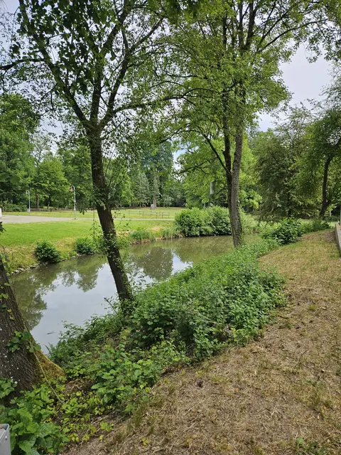 Foto: SAV OG Talheim
