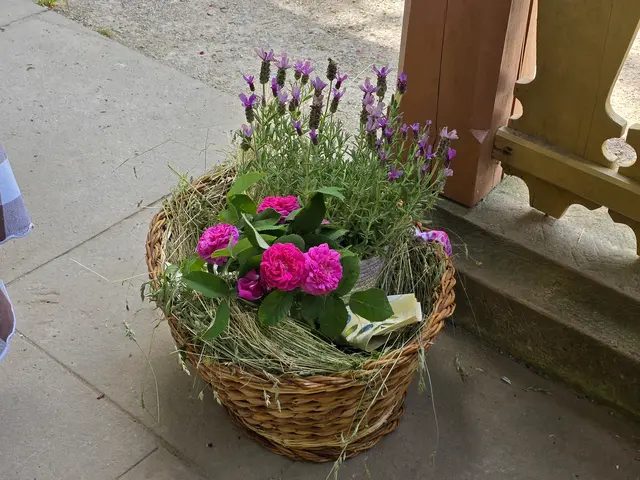 Foto: Heidrun Rosenberger