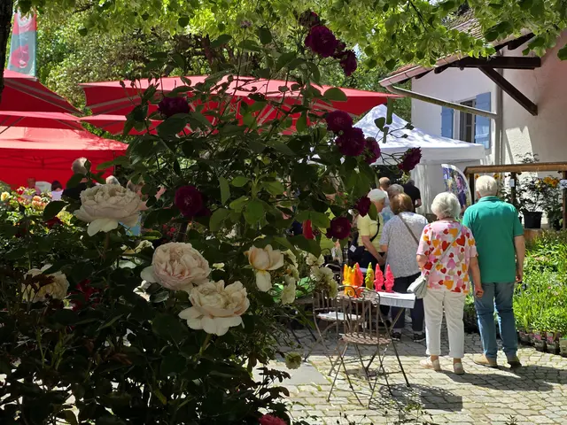 Foto: Heidrun Rosenberger