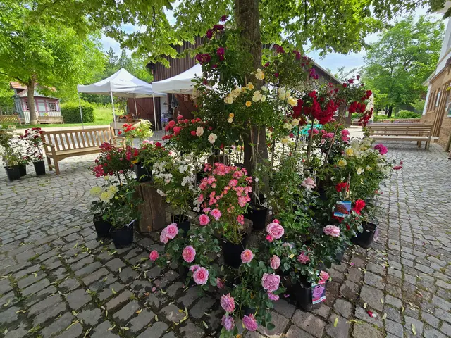 Foto: Heidrun Rosenberger