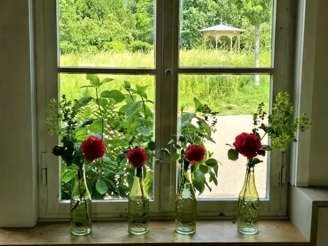 Foto: Heidrun Rosenberger