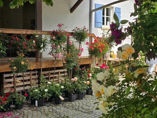 Foto: Heidrun Rosenberger