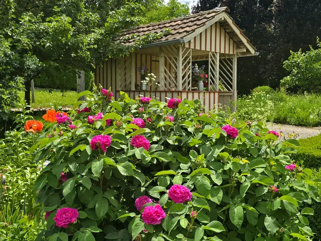 Foto: Heidrun Rosenberger