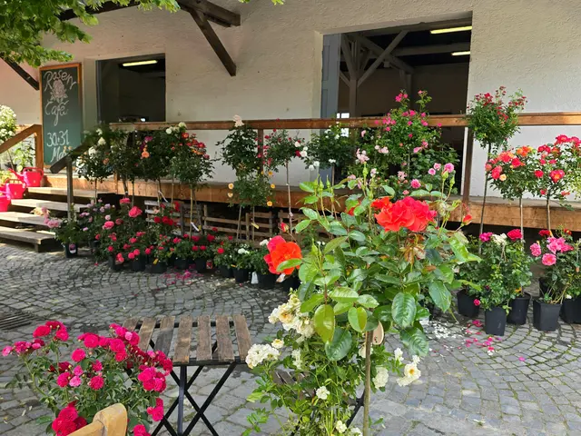 Foto: Heidrun Rosenberger