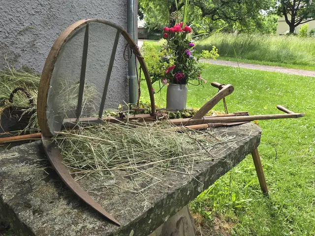 Foto: Heidrun Rosenberger