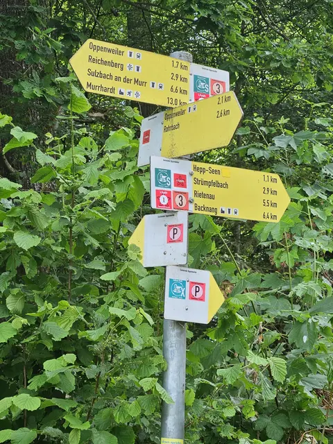 Foto: SAV OG Talheim