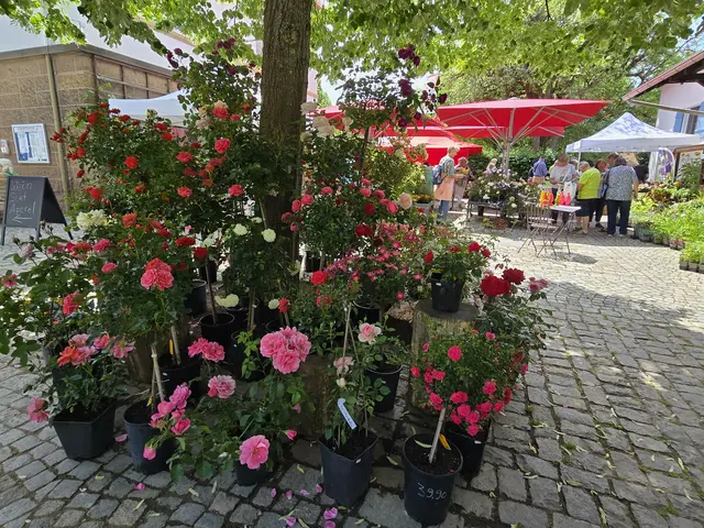 Foto: Heidrun Rosenberger