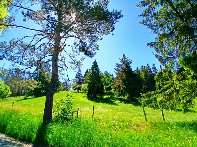 Wir kommen durch herrliche Landschaft.   | Foto: sigischlottke