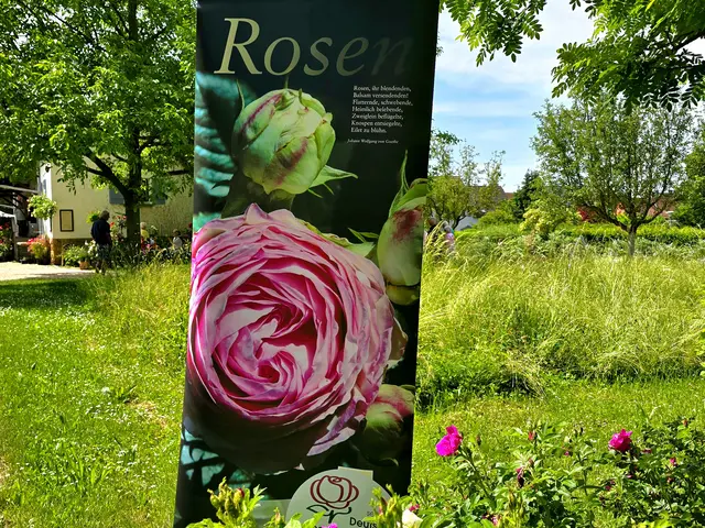Foto: Heidrun Rosenberger