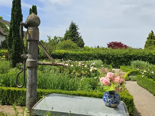 Foto: Heidrun Rosenberger