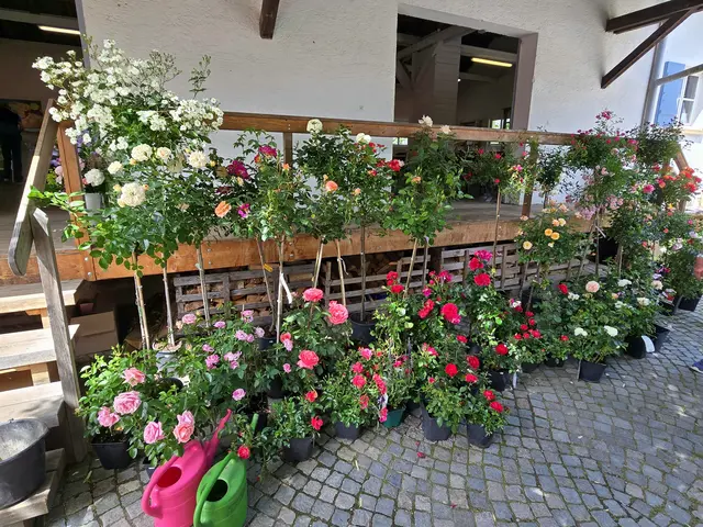 Foto: Heidrun Rosenberger