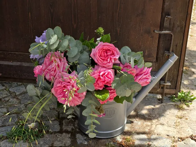 Foto: Heidrun Rosenberger