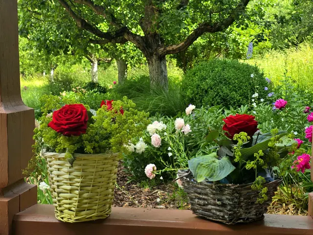 Foto: Heidrun Rosenberger