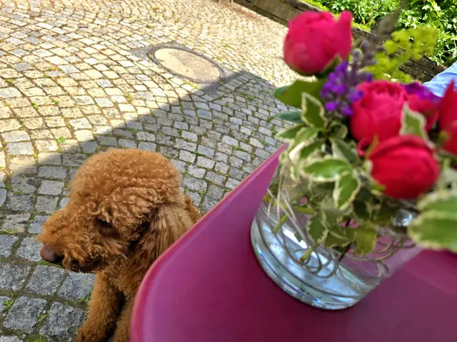 Foto: Heidrun Rosenberger