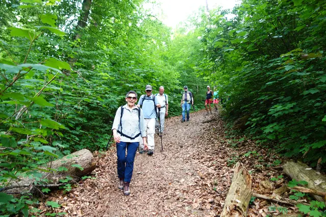 Endlich auf der Höhe angekommen! | Foto: I. Reitz