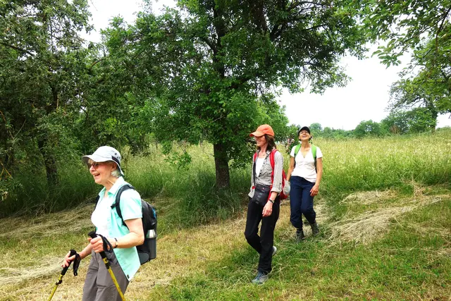 Schöner Wiesenweg... | Foto: I. Reitz