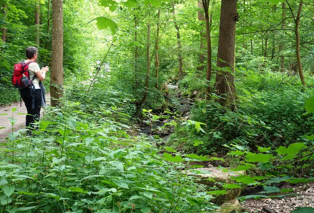 Das Leudelsbachtal gehört zu den schönsten Naturräumen des Landkreises Ludwigsburgs. | Foto: I. Reitz