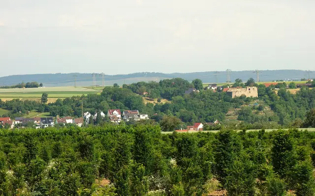 Blick auf die Burgruine Altsachsenheim in Untermberg. | Foto: I. Reitz