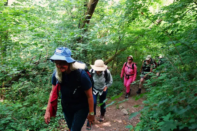 Durch den schattigen Wald hoch auf den Rotenacker. | Foto: I. Reitz