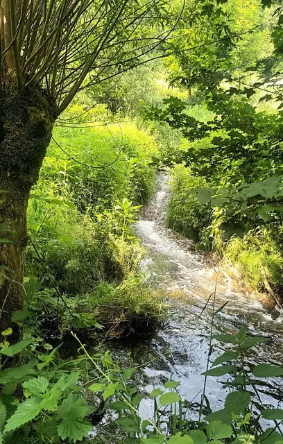 Der 6 Km lange Leudelsbach mündet bei Unterriexingen in die Enz. | Foto: I. Reitz