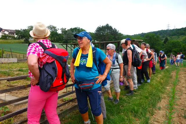 Aufstieg über den Bissinger Pfad nach Markgröningen. | Foto: I. Reitz