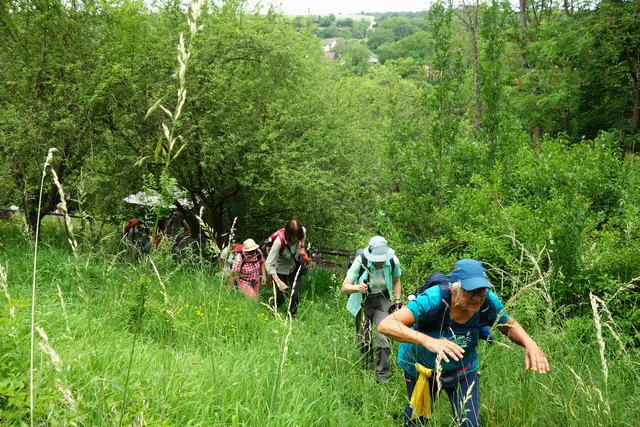 Zugewachsene Pfade erschwerten den Weg auf die Hochebene. | Foto: I. Reitz