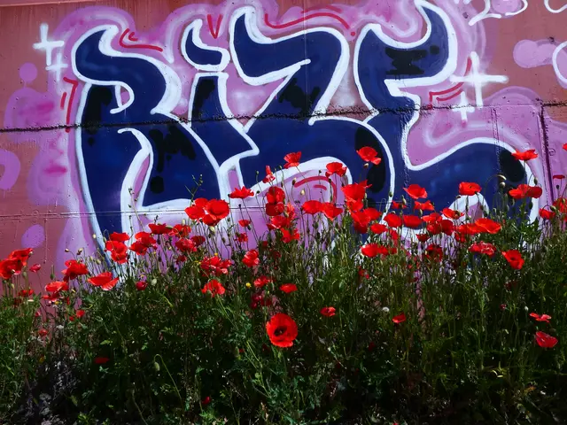 Kunst und Mohn am Kochertalradweg | Foto: Helmut Brehm