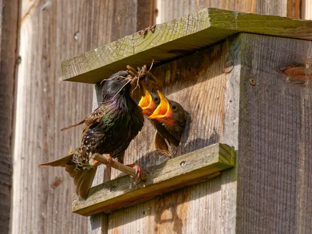 Hunger!!! | Foto: Eigenes Bild TB