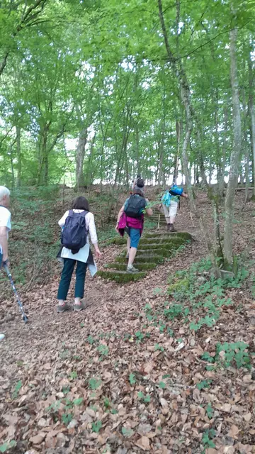 auf den "Stäffele" nach Meßbach | Foto: privat