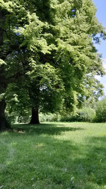 oberhalb der Kapelle | Foto: privat