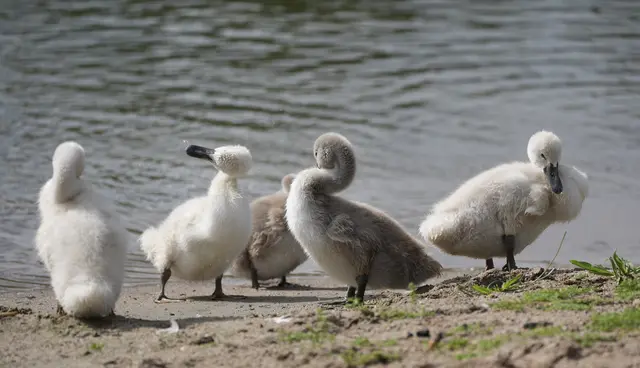 ...wir machen uns schön... | Foto: Moni Bordt