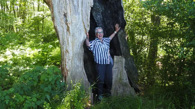 Was für eine Baum-Skulptur und ein spannender Rahmen für ein Foto von Beate 😁.  | Foto: Rainer Göser 