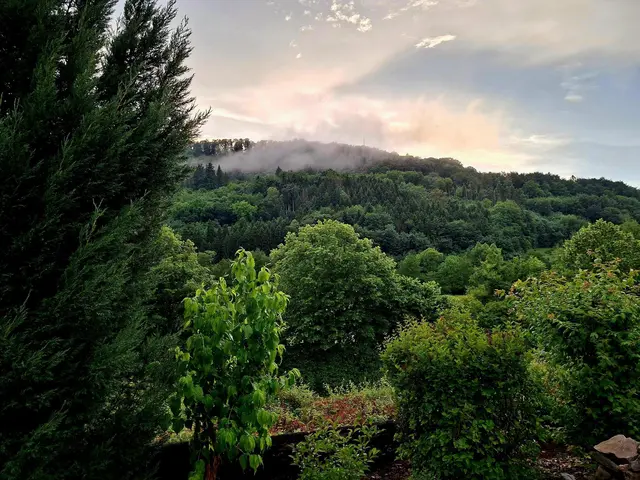 nach dem Regen