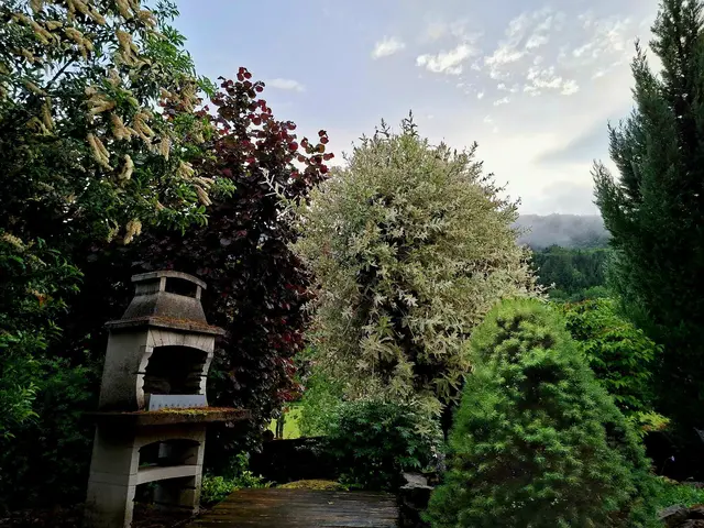 nach dem Regen