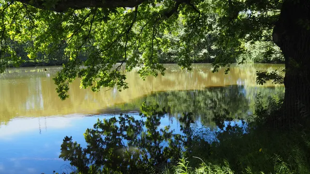 Idyllische Langewiesener Teiche. | Foto: Rainer Göser 