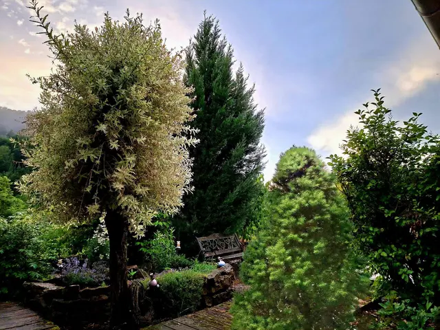 nach dem Regen