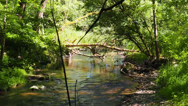 Wilde Landschaft.   | Foto: Rainer Göser 