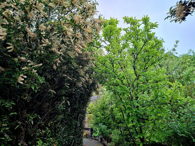 nach dem Regen