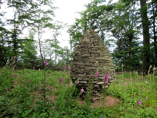 Archivbild aus 2020 als der Fingerhut noch direkt um das Monument herum blühte | Foto: WandernGabyErich