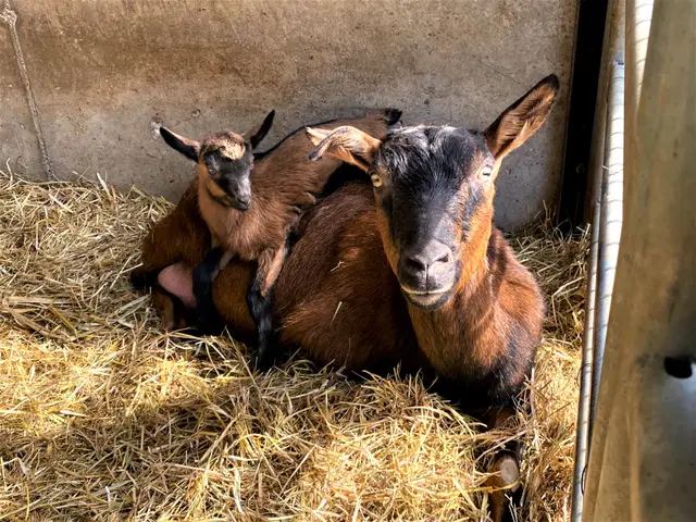 Foto: Heide Böllinger aus Bad Friedrichshall