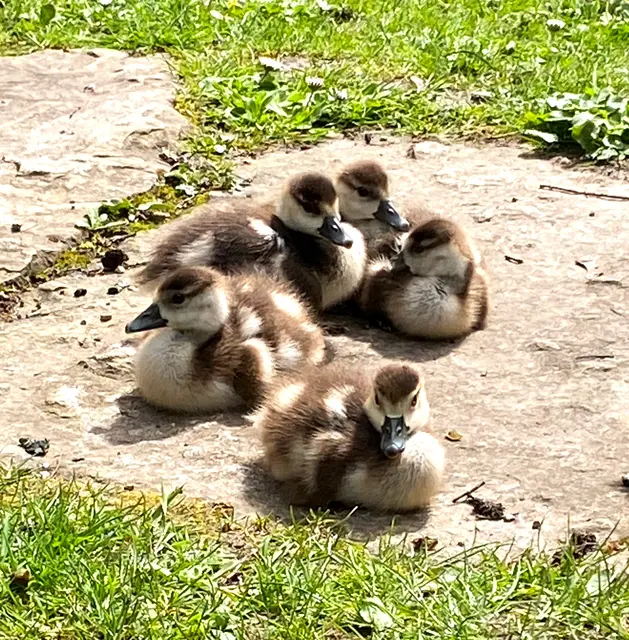 Foto: Heide Böllinger aus Bad Friedrichshall