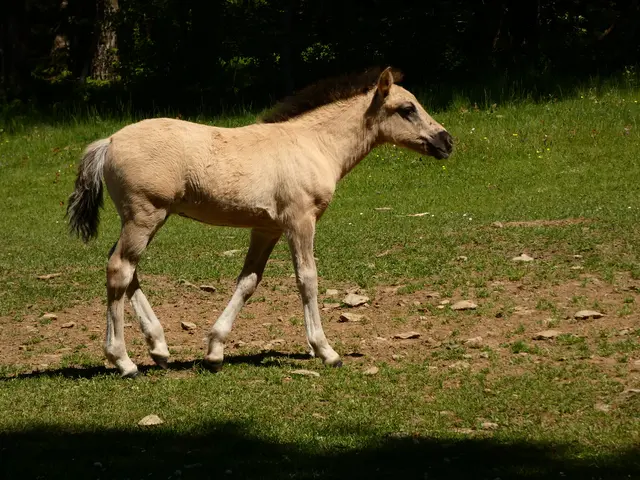 "Ah, jetzt bin ich schon bald bei ihr,  freu,  freu 😊" | Foto: sigischlottke