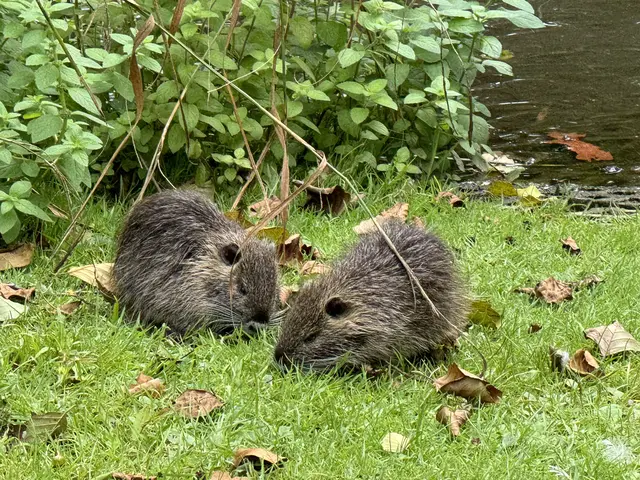Foto: Heide Böllinger aus Bad Friedrichshall