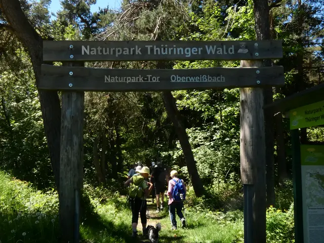 Nach unserem ausgiebigen Picknick tauchen wir wieder in den Schatten des Naturparks Thüringer Wald ein.   | Foto: sigischlottke
