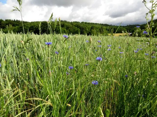 Foto: WandernGabyErich