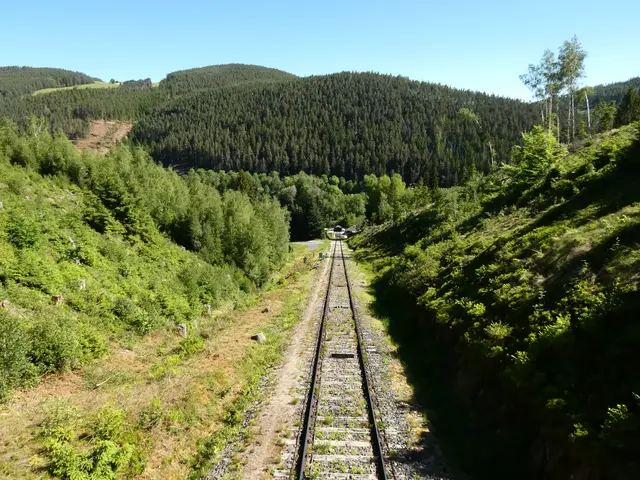 Rückblick  - die grüne Hügellandschaft Thüringens.  | Foto: sigischlottke